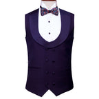 Plum bird eye self-textured tuxedo three piece suit | Purple Vest